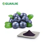 Poudre de fruits aux myrtilles