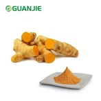Poudre d'extrait de curcumine