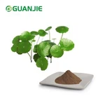 Poudre d'extrait de Gotu Kola