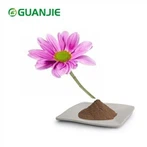 Poudre d'extrait d'échinacée purpurea