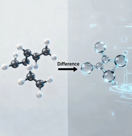 Mechanisms Of NMN And Spermidine Mechanisms Of NMN And Spermidine
