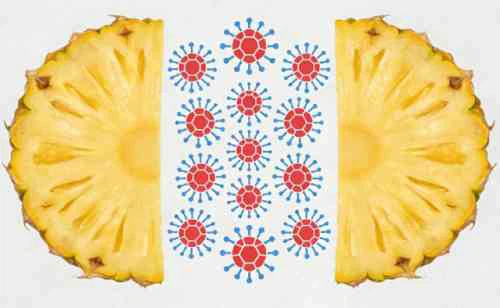 bromelain Immune System bromelain Immune System