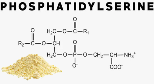 news-497-273 news-497-273