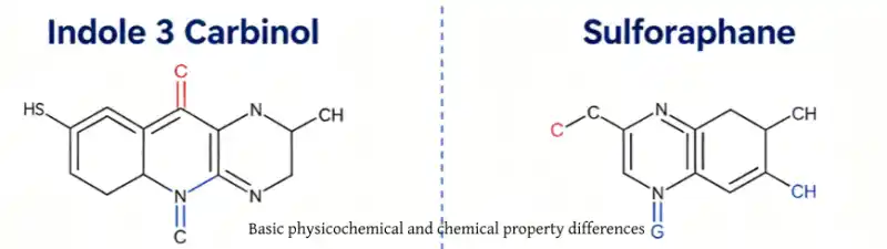 chemical differences between Indole 3 Carbinol and Sulforaphane 